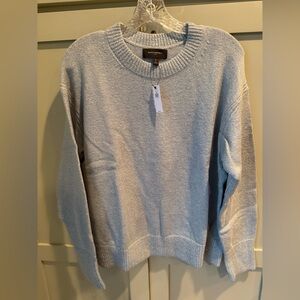 NWT Banana Republic Soft Blue & White Sweater w silver metallic accents SZ L